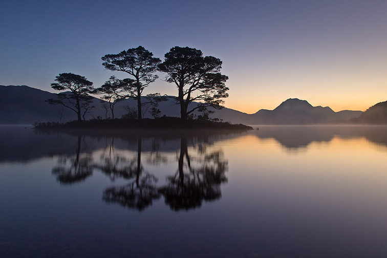 Scots pines on small island in Loch Marre reflected at dawn, Torridon, Scotland